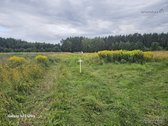 Parduodami 2 žemės sklypai 0,1260 ha ir 0 - nuotraukos Nr. 11