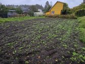 ? Parduodamas Prižiūrėtas Sodo Sklypas Su - nuotraukos Nr. 3
