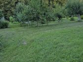 Ieškote vietos, kur būtų daug žalumos, - nuotraukos Nr. 13