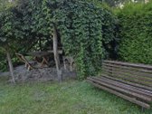 Ieškote vietos, kur būtų daug žalumos, - nuotraukos Nr. 10