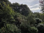 Be Tarpininkų išnuomojamas naujai ir - nuotraukos Nr. 19
