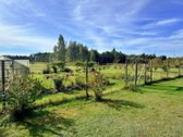 Parduodama jauki sodyba Trakų rajone, - nuotraukos Nr. 55