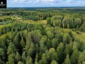 Parduodamas Erdvus Žemės Sklypas Su Mišku Ir - nuotraukos Nr. 4
