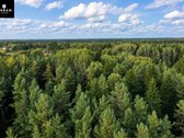 Parduodamas Erdvus Žemės Sklypas Su Mišku Ir - nuotraukos Nr. 5