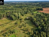 Parduodamas Erdvus Žemės Sklypas Su Mišku Ir - nuotraukos Nr. 12