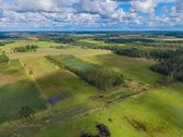 Parduodamas 3.8000 Ha Žemės Sklypas Šilutės R - nuotraukos Nr. 7