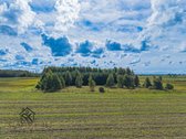 Parduodamas 3.8000 Ha Žemės Sklypas Šilutės R - nuotraukos Nr. 11