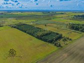 Parduodamas 3.8000 Ha Žemės Sklypas Šilutės R - nuotraukos Nr. 12