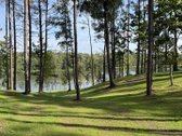 Parduodami žemės sklypai šalia Druskininkų - nuotraukos Nr. 4