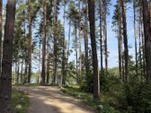 Parduodami žemės sklypai šalia Druskininkų - nuotraukos Nr. 8