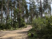Parduodami žemės sklypai šalia Druskininkų - nuotraukos Nr. 9