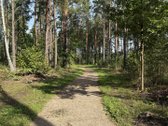 Parduodami žemės sklypai šalia Druskininkų - nuotraukos Nr. 10