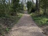 Parduodami žemės sklypai šalia Druskininkų - nuotraukos Nr. 11