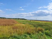 Parduodamas 40,29 arų žemės ūkio paskirties - nuotraukos Nr. 6