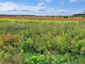 Parduodamas 40,29 arų žemės ūkio paskirties - nuotraukos Nr. 7