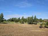 Parduodamas komercinės paskirties sklypas - nuotraukos Nr. 4