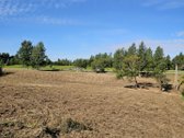 Parduodamas komercinės paskirties sklypas - nuotraukos Nr. 5