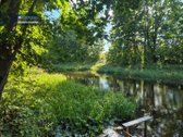 Parduodamas Sodo Namelis Prie Upės – Vos 5 Km - nuotraukos Nr. 43