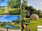  – Nt ekspertai be procentų - nuotraukos Nr. 48