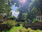 Išskirtinė Sodyba Žutautuose – Atnaujintas - nuotraukos Nr. 28