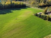 Parduodamas 1 ha Sklypų Masyvas, padalintas į - nuotraukos Nr. 5