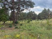Naujas ~130 m² namas Druskininkuose – - nuotraukos Nr. 6