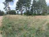 Naujas ~130 m² namas Druskininkuose – - nuotraukos Nr. 10