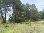 Naujas ~130 m² namas Druskininkuose – - nuotraukos Nr. 11