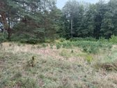 Naujas ~130 m² namas Druskininkuose – - nuotraukos Nr. 12