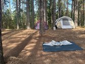Parduodamas isskirtinis sklypas ant ezero - nuotraukos Nr. 10