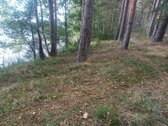 Parduodamas isskirtinis sklypas ant ezero - nuotraukos Nr. 11