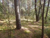 Parduodamas isskirtinis sklypas ant ezero - nuotraukos Nr. 22
