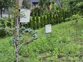 Rubulių k., netoli Kretingos miesto, Žalioji - nuotraukos Nr. 2