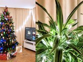 Parduodame patikimo statytojo „eika įrengtą - nuotraukos Nr. 20