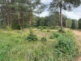 Erdvus ~156 m² naujas namas Druskininkuose – - nuotraukos Nr. 14