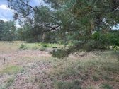 Erdvus ~156 m² naujas namas Druskininkuose – - nuotraukos Nr. 18