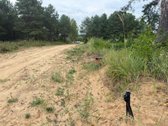 Erdvus ~156 m² naujas namas Druskininkuose – - nuotraukos Nr. 11