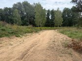 Erdvus ~156 m² naujas namas Druskininkuose – - nuotraukos Nr. 12
