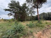 Erdvus ~156 m² naujas namas Druskininkuose – - nuotraukos Nr. 19