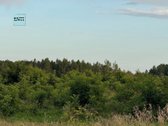 Parduodami 4 Žemės Ūkio Paskirties Sklypai - nuotraukos Nr. 4