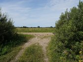 Šilutės rajone, Lankupių kaime, Žolynų g. - nuotraukos Nr. 8