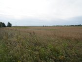 Šilutės rajone, Lankupių kaime, Žolynų g. - nuotraukos Nr. 10