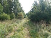 Šilutės rajone, Lankupių kaime, Žolynų g. - nuotraukos Nr. 11