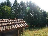 Šilutės rajone, Lankupių kaime, Žolynų g. - nuotraukos Nr. 29