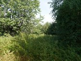 Šilutės rajone, Lankupių kaime, Žolynų g. - nuotraukos Nr. 74