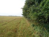 Šilutės rajone, Lankupių kaime, Žolynų g. - nuotraukos Nr. 80