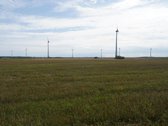 Šilutės rajone, Lankupių kaime, Žolynų g. - nuotraukos Nr. 81