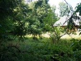 Šilutės rajone, Lankupių kaime, Žolynų g. - nuotraukos Nr. 84