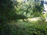 Šilutės rajone, Lankupių kaime, Žolynų g. - nuotraukos Nr. 85