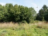 Šilutės rajone, Lankupių kaime, Žolynų g. - nuotraukos Nr. 86